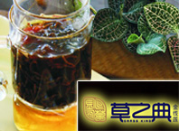 草之典金線蓮