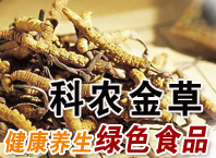 科農蟲草種植
