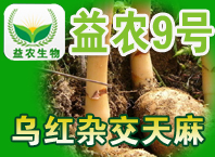 益農天麻